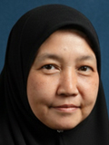 hanizah ahmad